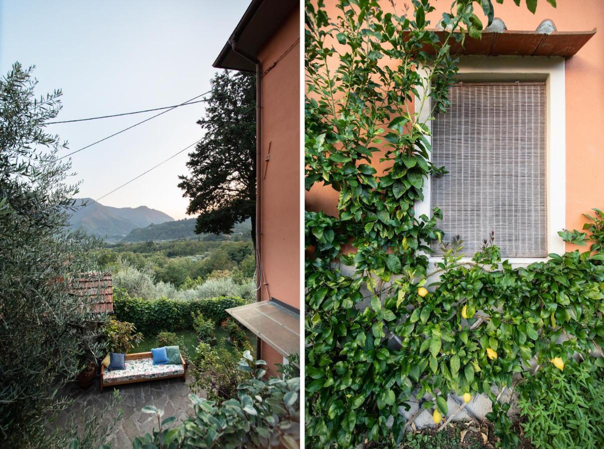 Casetta Di Butia, Mimosa Apartment Borgo a Mozzano Zewnętrze zdjęcie