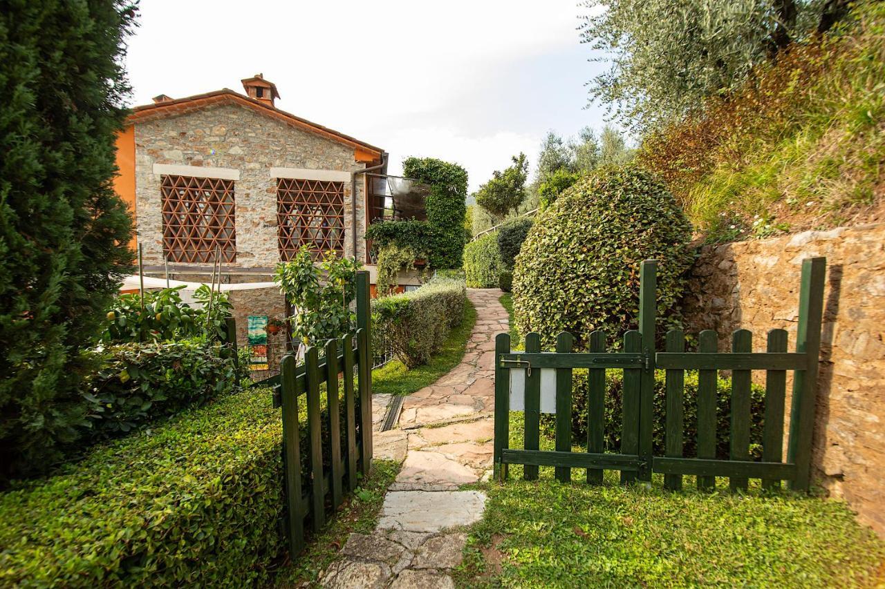 Casetta Di Butia, Mimosa Apartment Borgo a Mozzano Zewnętrze zdjęcie