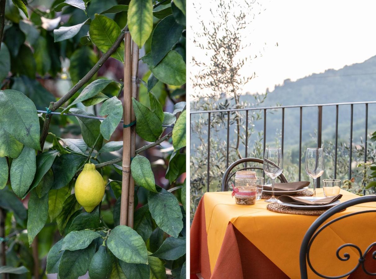 Casetta Di Butia, Mimosa Apartment Borgo a Mozzano Zewnętrze zdjęcie