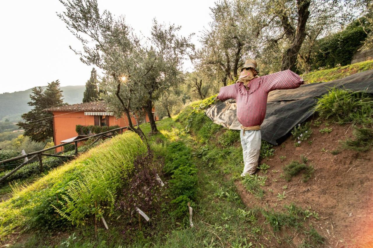 Casetta Di Butia, Mimosa Apartment Borgo a Mozzano Zewnętrze zdjęcie