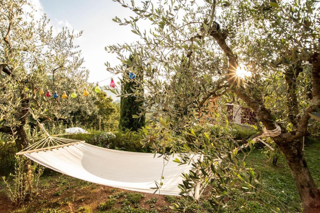Casetta Di Butia, Mimosa Apartment Borgo a Mozzano Zewnętrze zdjęcie