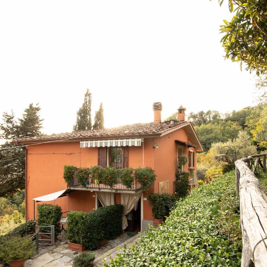 Casetta Di Butia, Mimosa Apartment Borgo a Mozzano Zewnętrze zdjęcie