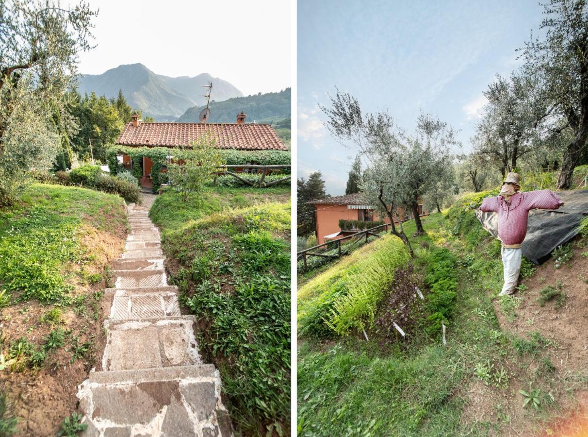 Casetta Di Butia, Mimosa Apartment Borgo a Mozzano Zewnętrze zdjęcie