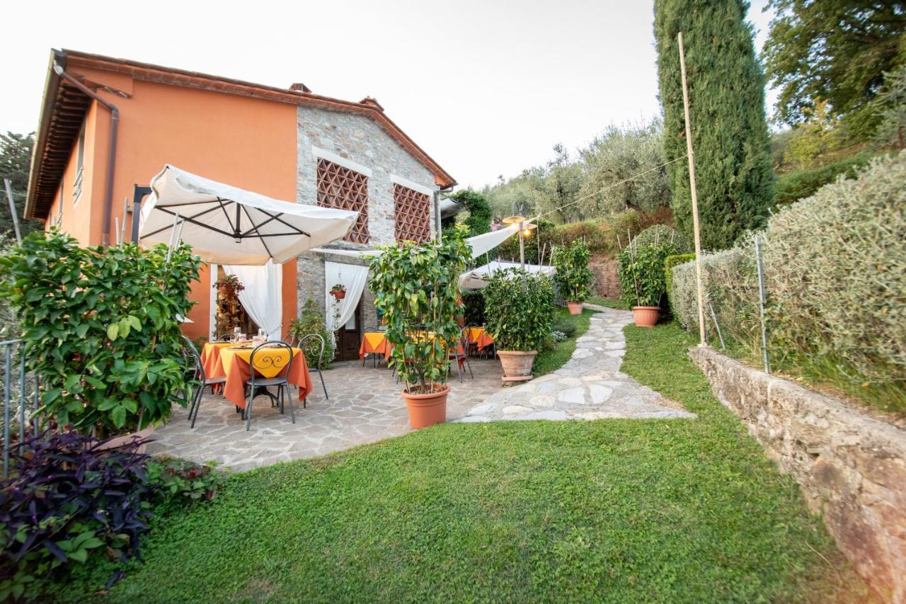 Casetta Di Butia, Mimosa Apartment Borgo a Mozzano Zewnętrze zdjęcie