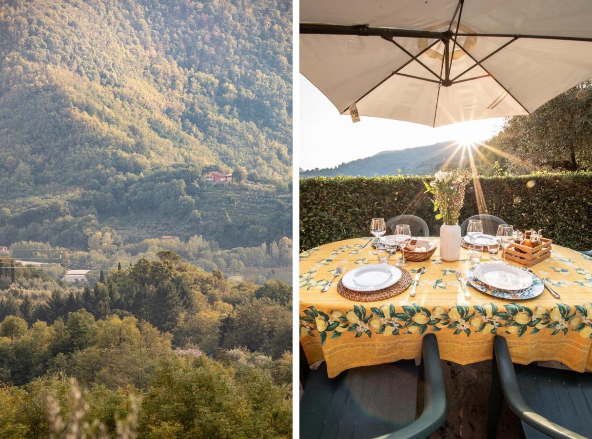Casetta Di Butia, Mimosa Apartment Borgo a Mozzano Zewnętrze zdjęcie