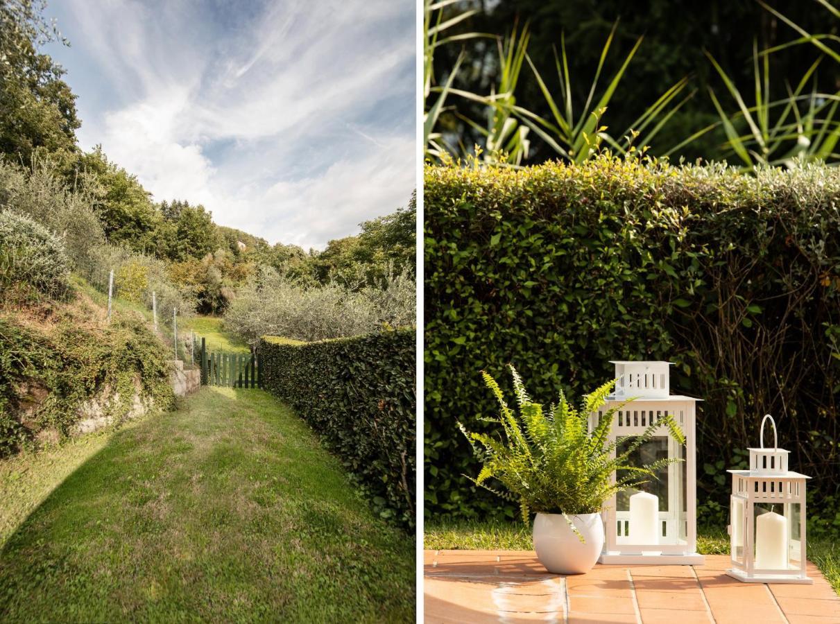Casetta Di Butia, Mimosa Apartment Borgo a Mozzano Zewnętrze zdjęcie